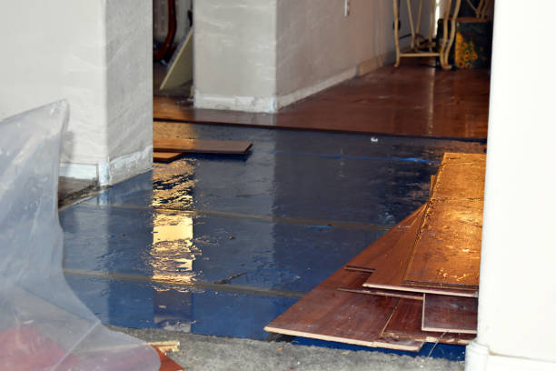 Professional Basement Flood Cleanup technician working in Peculiar, MO